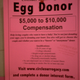 Illustration for article titled The Risks (and Benefits) of Donating Your Eggs